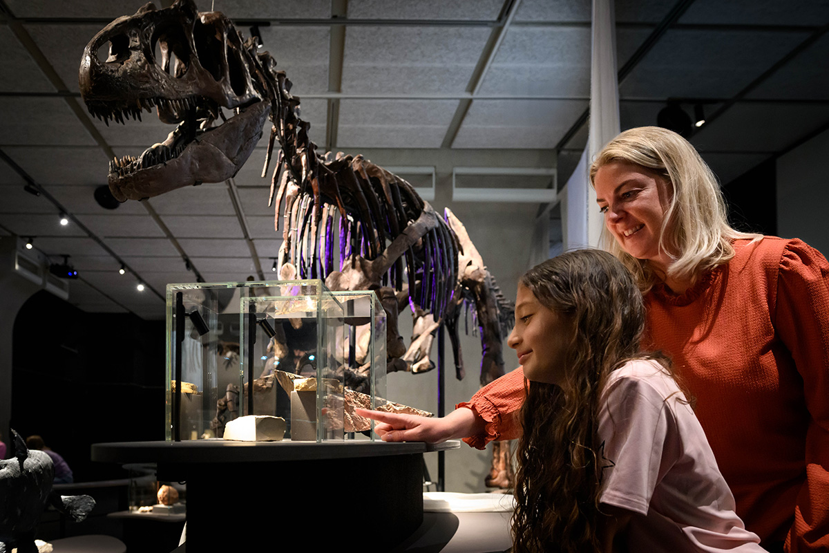 Entreeticket Museon-Omniversum, inclusief 1 grootbeeldfilm