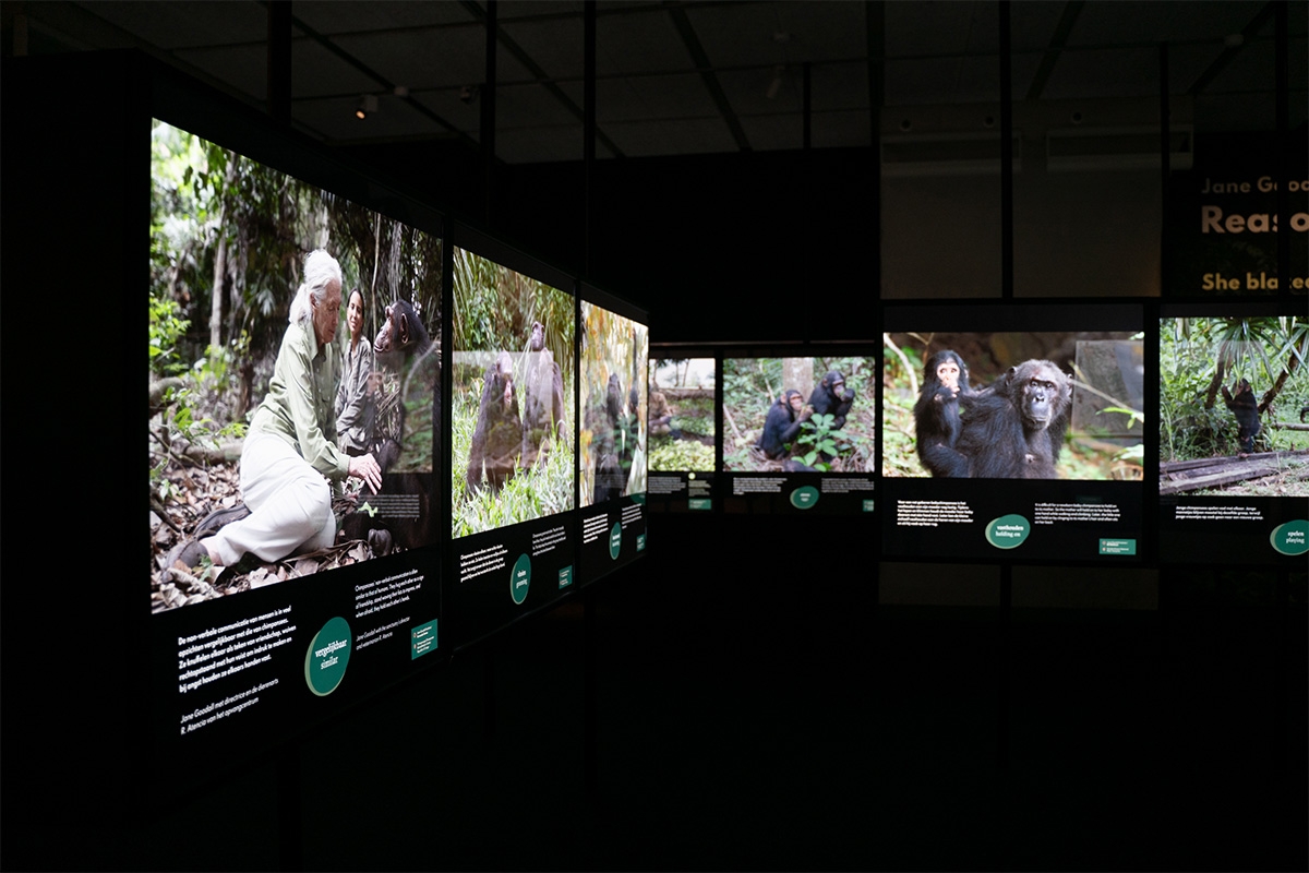 Entreeticket Museon-Omniversum, inclusief 1 grootbeeldfilm