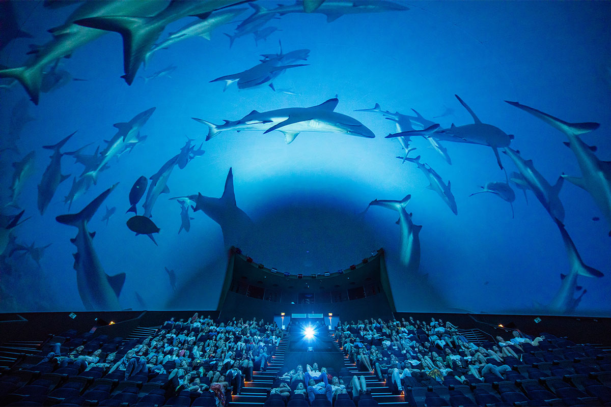 Entreeticket Museon-Omniversum, inclusief 1 grootbeeldfilm