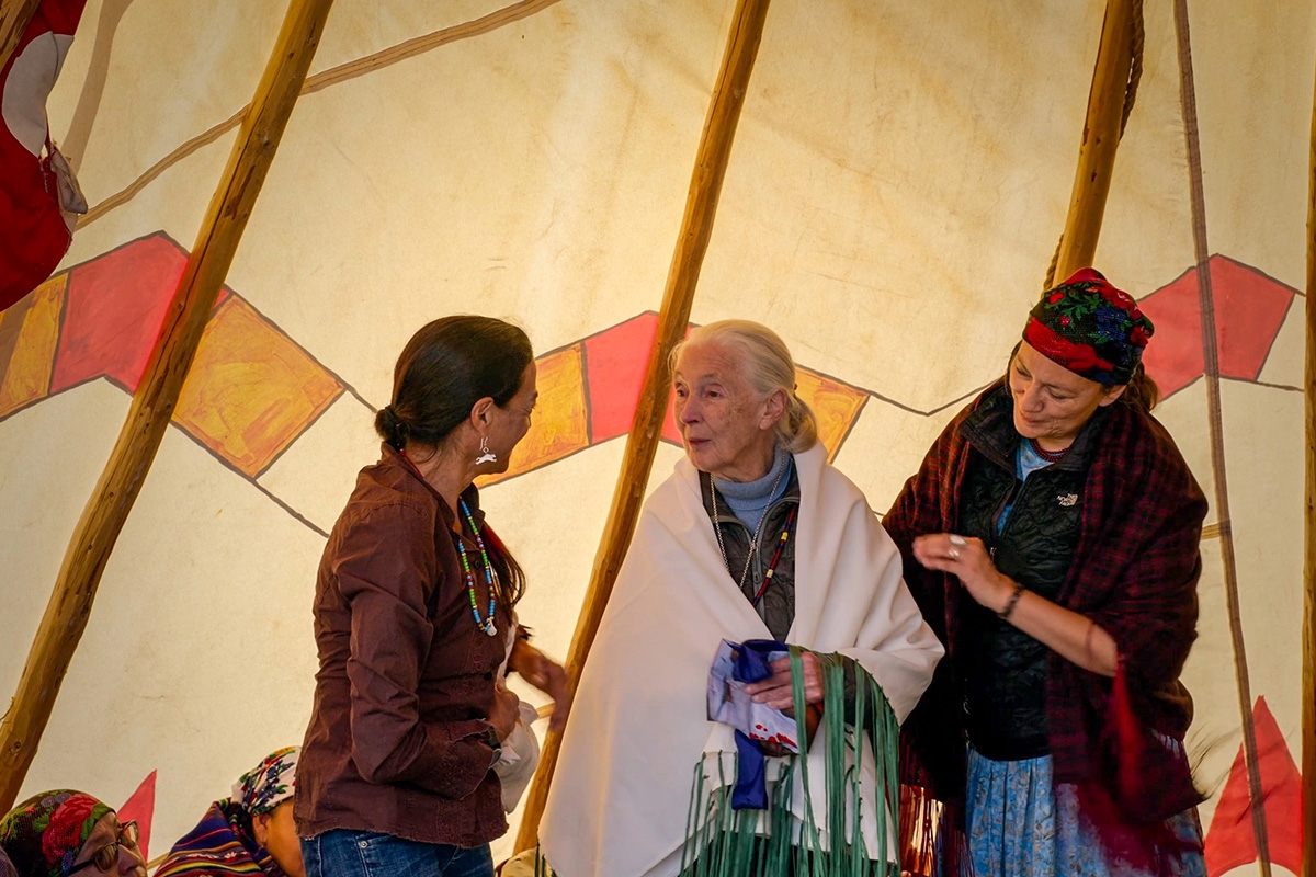 Entreeticket Museon-Omniversum, inclusief 1 grootbeeldfilm