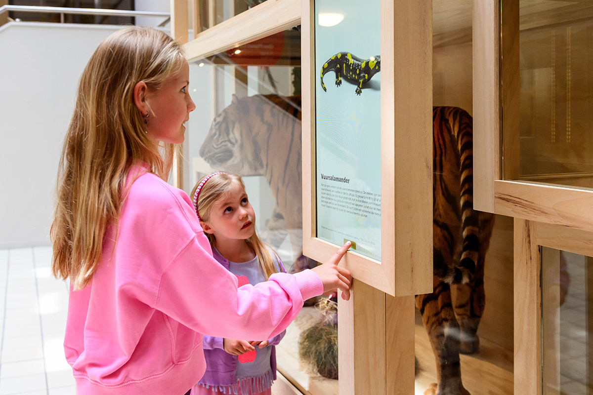 Entreeticket Museon-Omniversum, inclusief 1 grootbeeldfilm