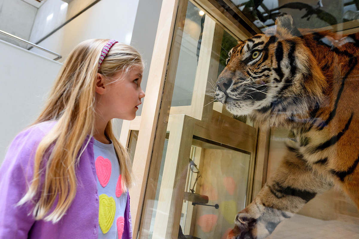 Entreeticket Museon-Omniversum, inclusief 1 grootbeeldfilm