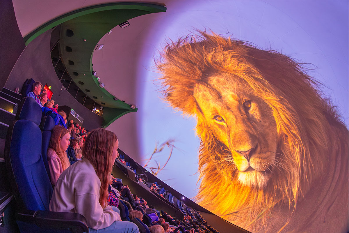 Entreeticket Museon-Omniversum, inclusief 1 grootbeeldfilm
