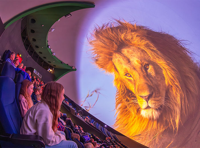 Entreeticket Museon-Omniversum, inclusief 1 grootbeeldfilm
