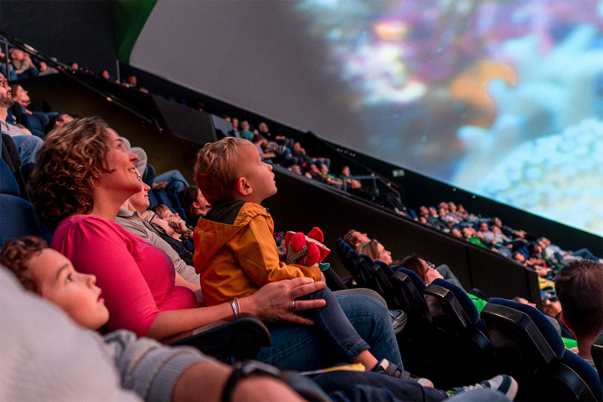 Entreeticket Museon-Omniversum, inclusief 1 grootbeeldfilm