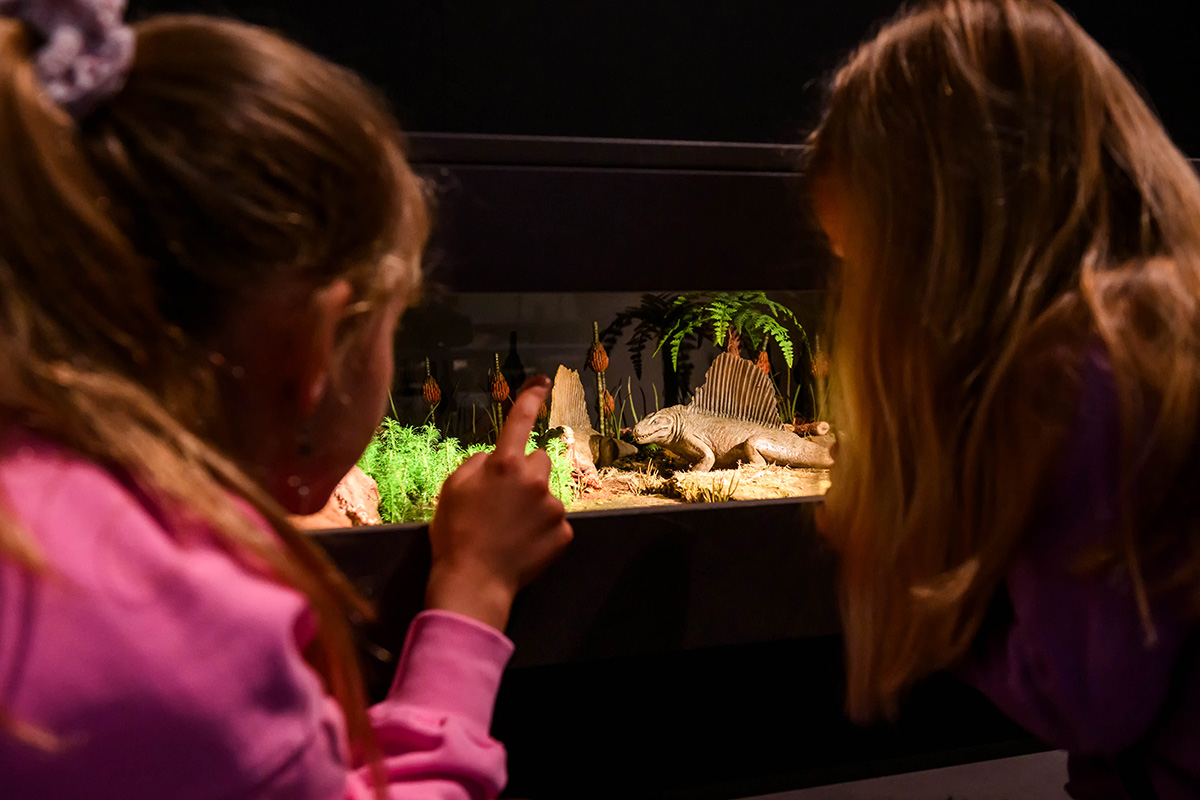 Entreeticket Museon-Omniversum, inclusief 1 grootbeeldfilm