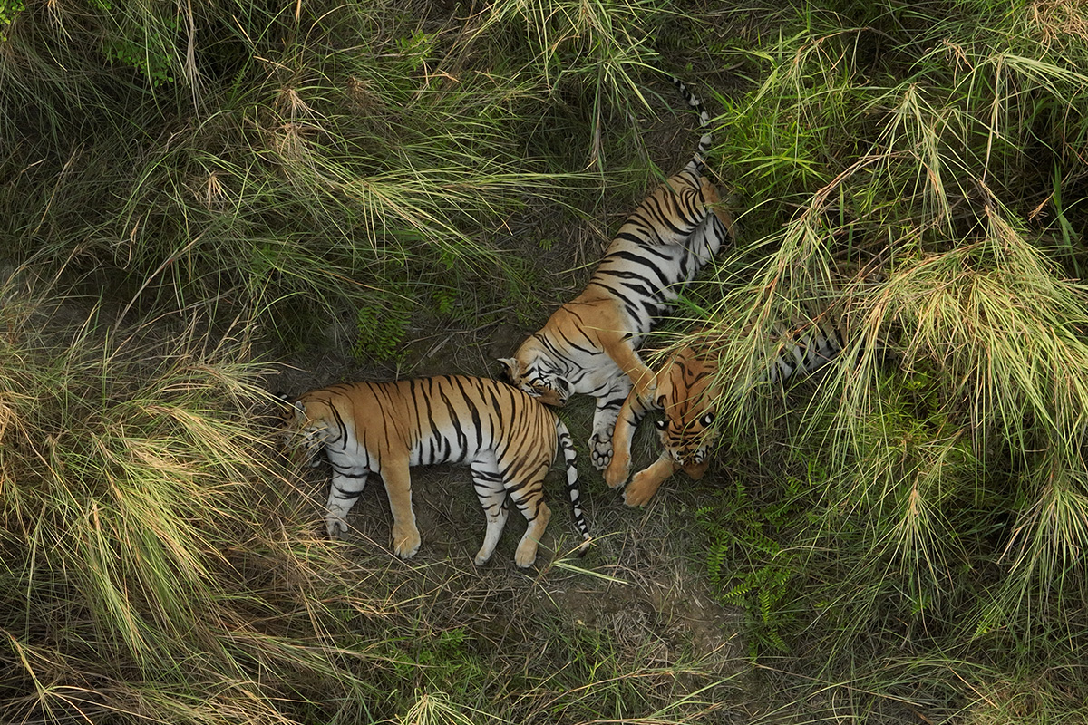 Billet d'entrée au Museon-Omniversum, incluant 1 film sur grand écran
