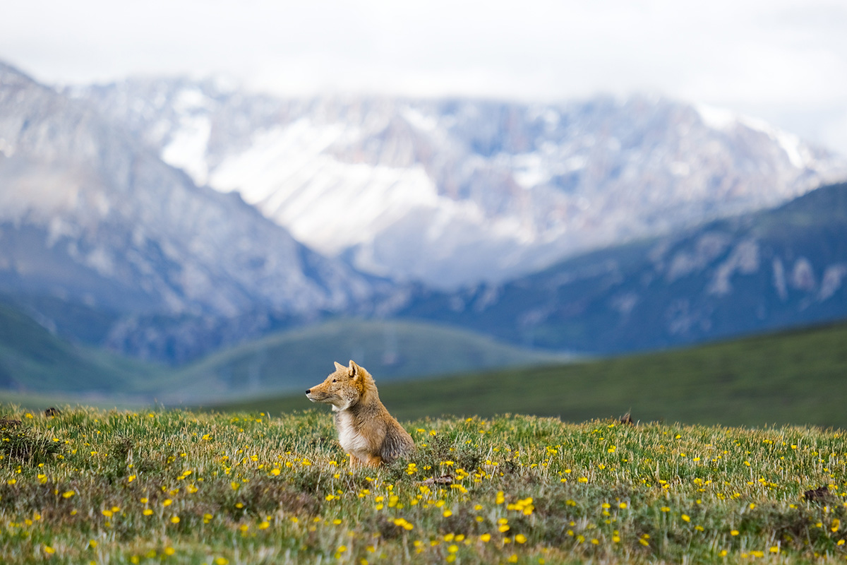 Billet d'entrée au Museon-Omniversum, incluant 1 film sur grand écran
