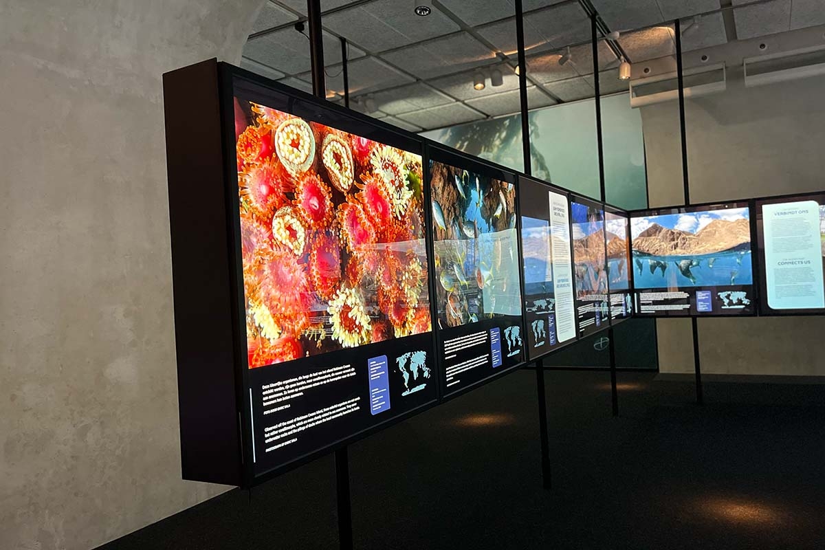 Entreeticket Museon-Omniversum, inclusief 1 grootbeeldfilm