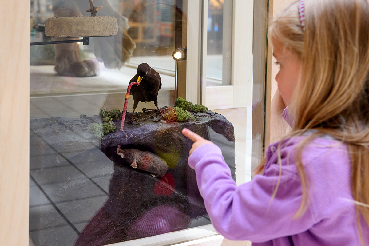 Entreeticket Museon-Omniversum, inclusief 1 grootbeeldfilm