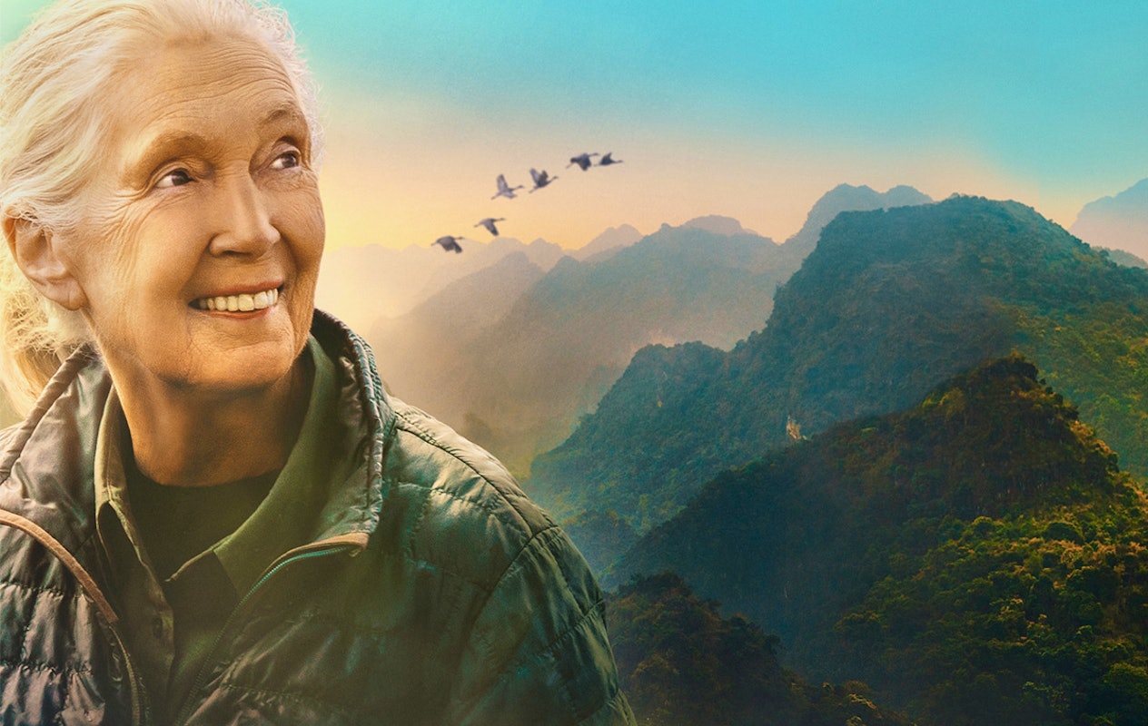 Entreeticket Museon-Omniversum, inclusief 1 grootbeeldfilm