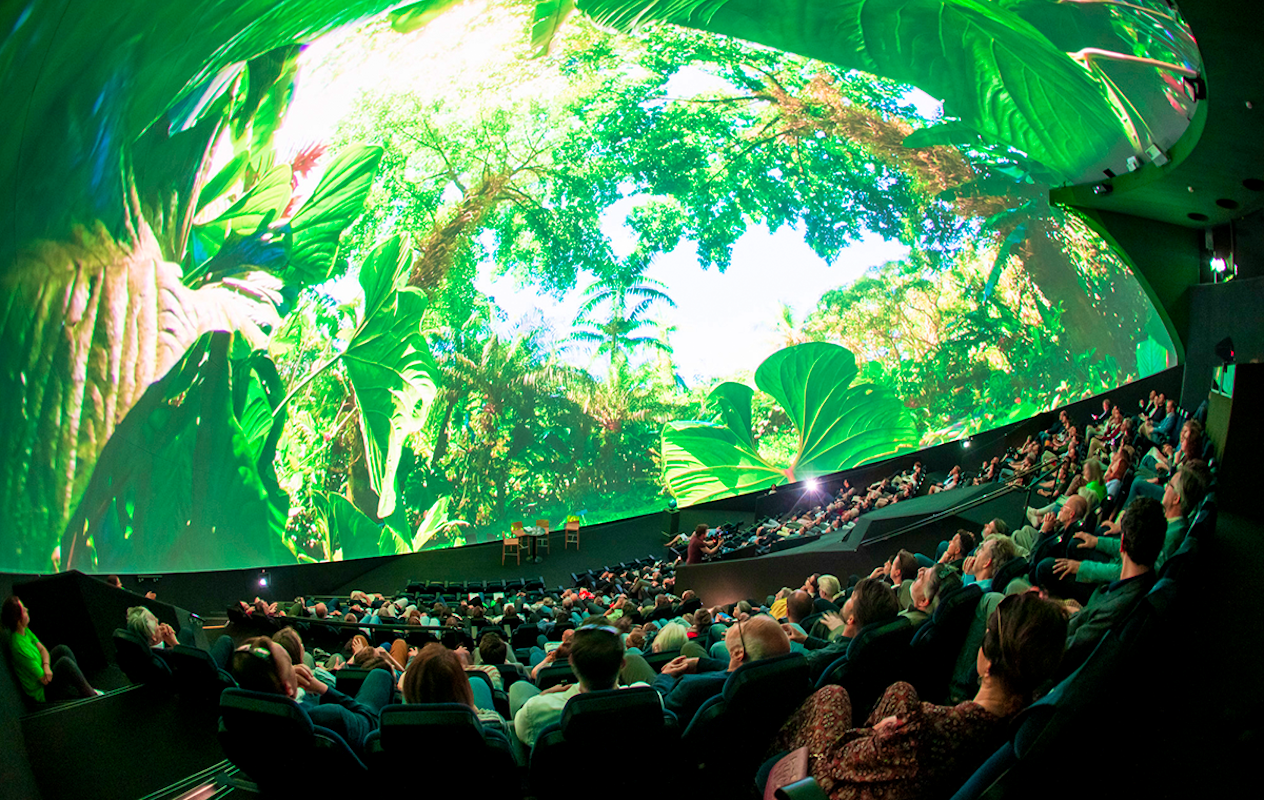 Entreeticket Museon-Omniversum, inclusief 1 grootbeeldfilm