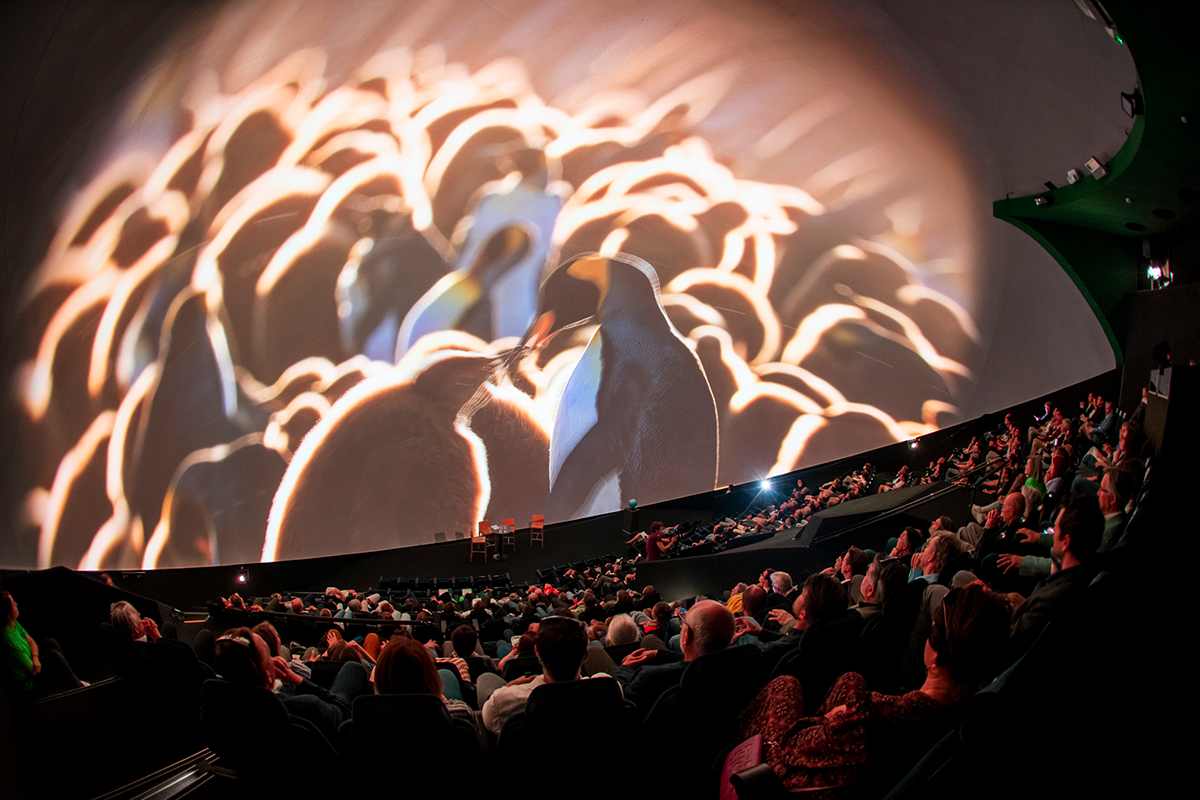 Entreeticket Museon-Omniversum, inclusief 1 grootbeeldfilm