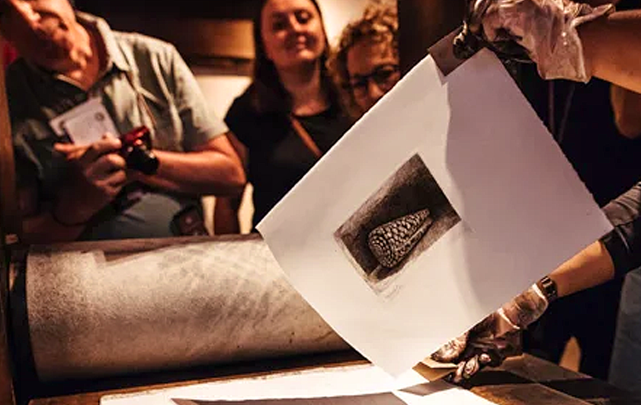 Entreeticket Museum Rembrandthuis