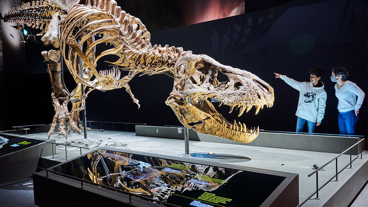 Entreeticket Naturalis Biodiversity Center