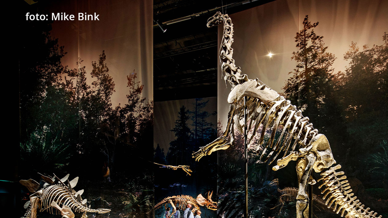 Entreeticket Naturalis Biodiversity Center