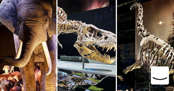 Naturalis Biodiversity Center | Actieprijs € 10 (-38%) - Tripper.nl