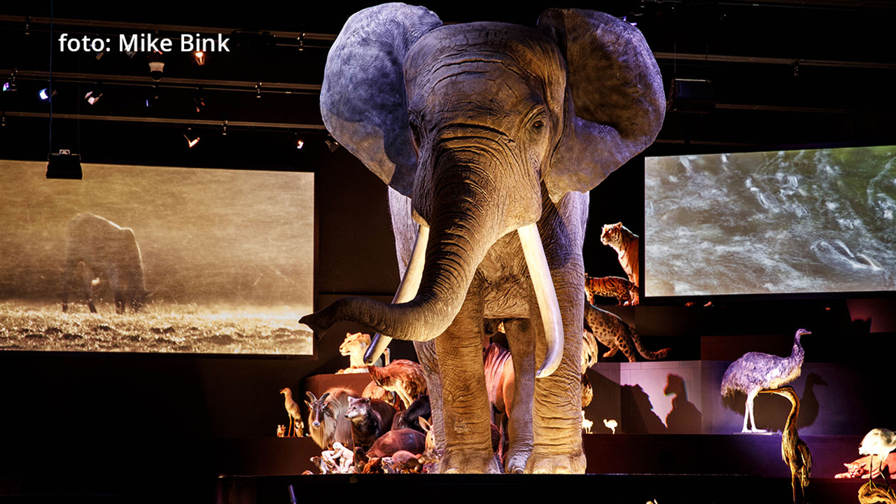 Entreeticket Naturalis Biodiversity Center