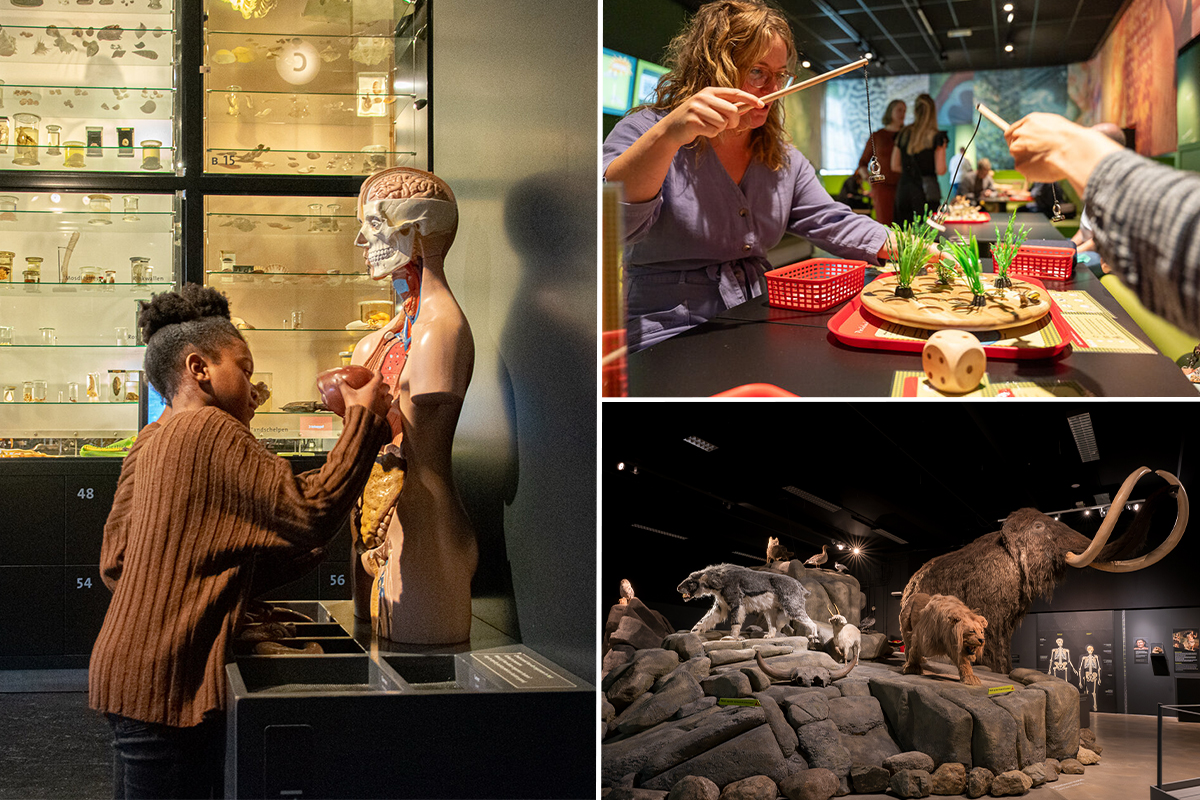 Entreeticket Natuurmuseum Brabant