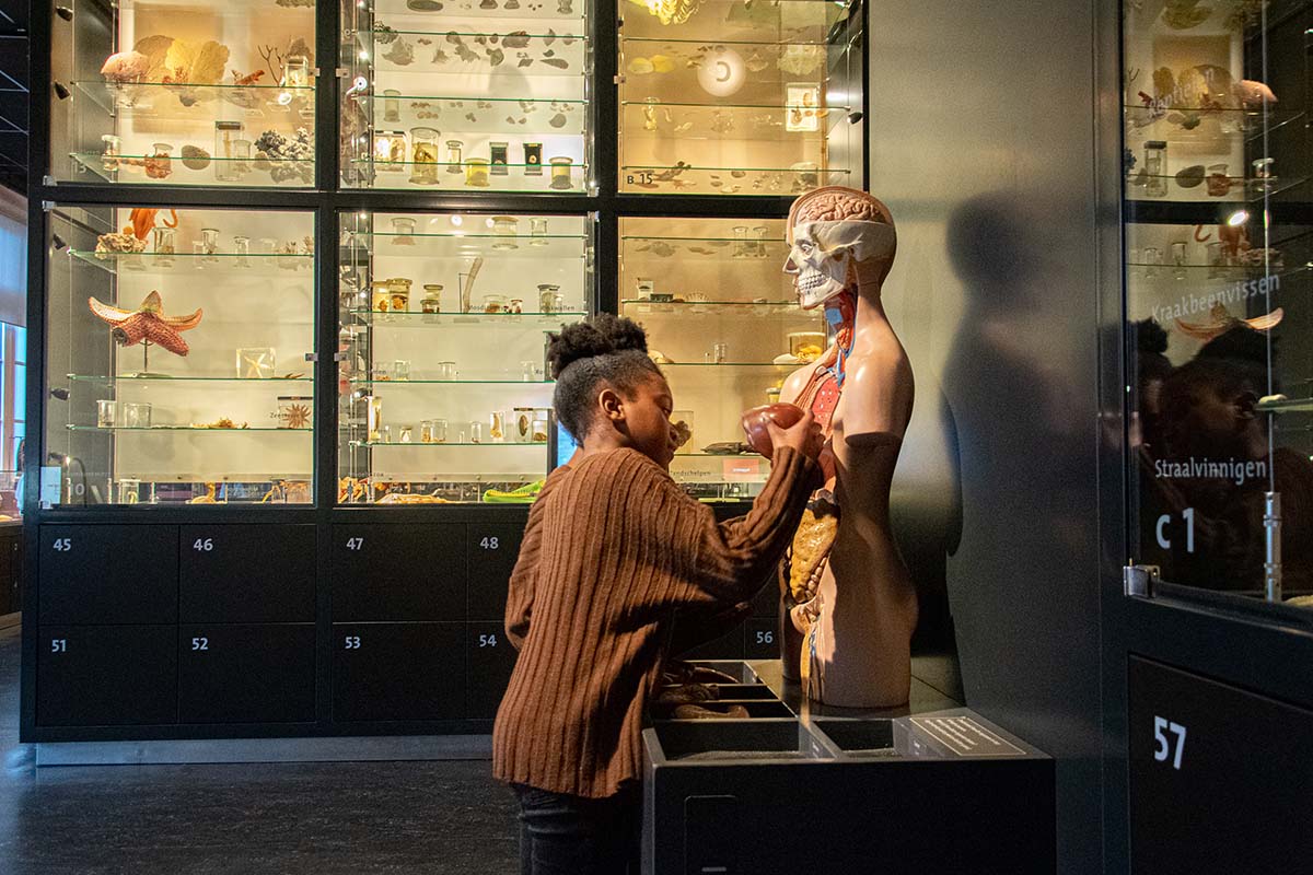 Entreeticket Natuurmuseum Brabant