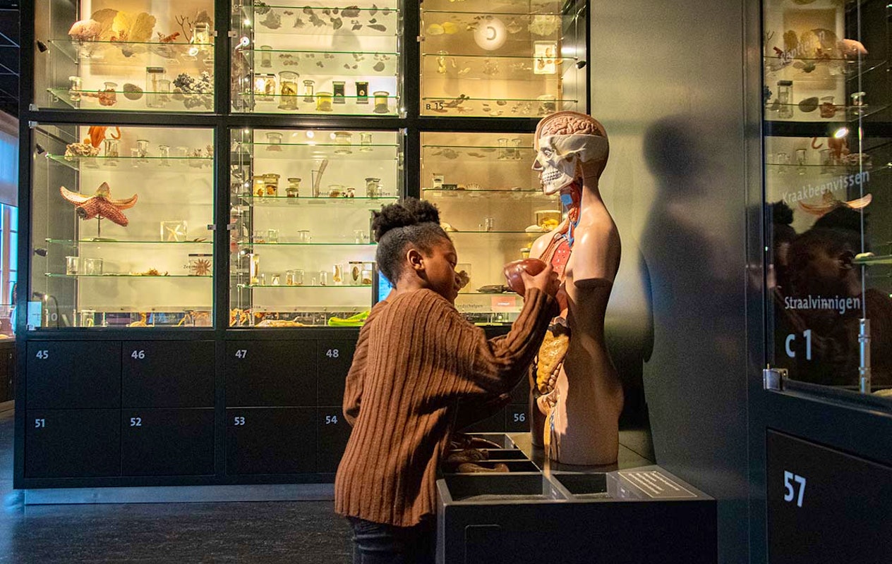 Entreeticket Natuurmuseum Brabant