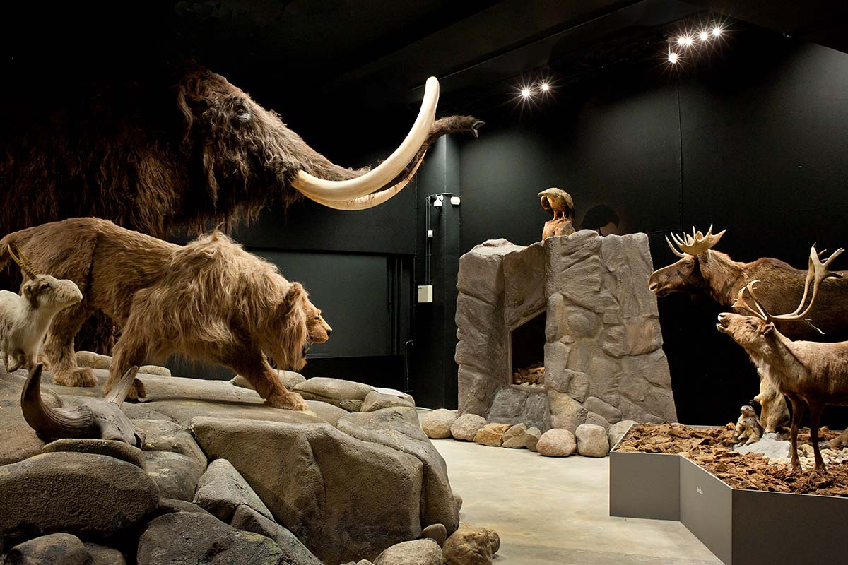 Entreeticket Natuurmuseum Brabant