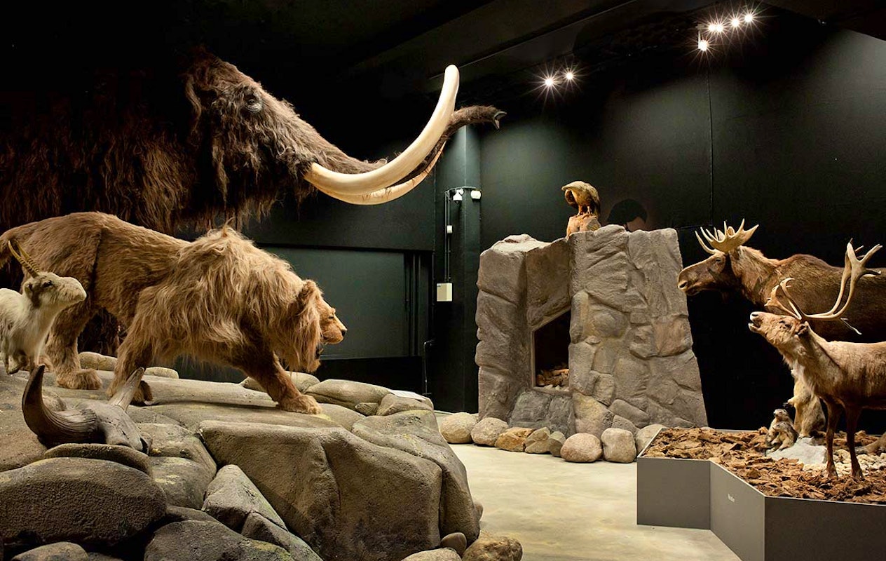 Entreeticket Natuurmuseum Brabant