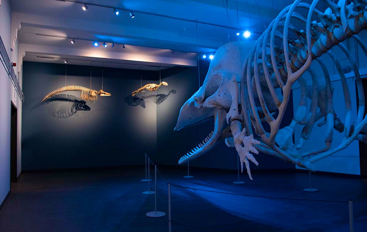 Entreeticket Natuurmuseum Brabant