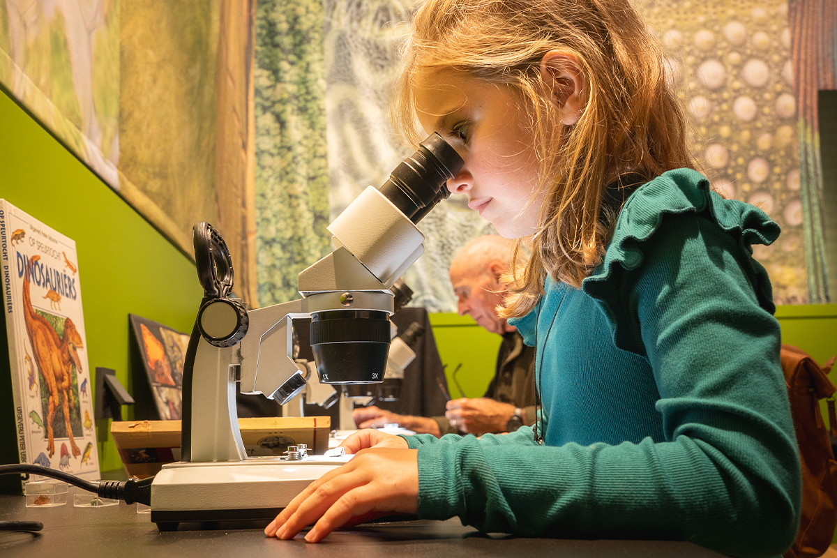 Billet d'entrée au Musée naturel du Brabant