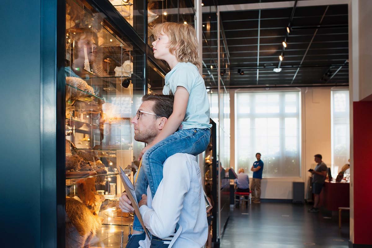 Entreeticket Natuurmuseum Brabant