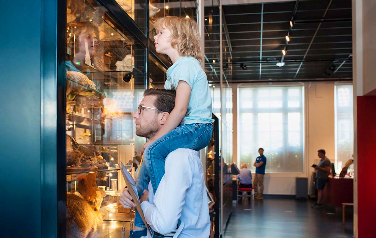 Entreeticket Natuurmuseum Brabant