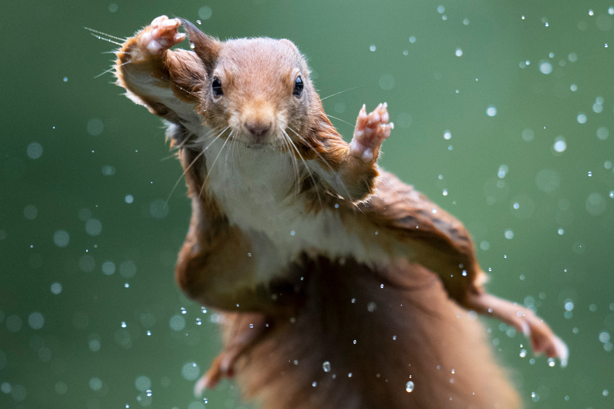 Entreeticket Natuurmuseum Brabant