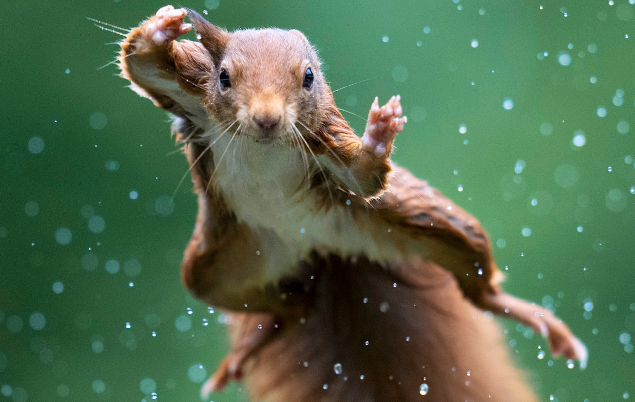 Entreeticket Natuurmuseum Brabant