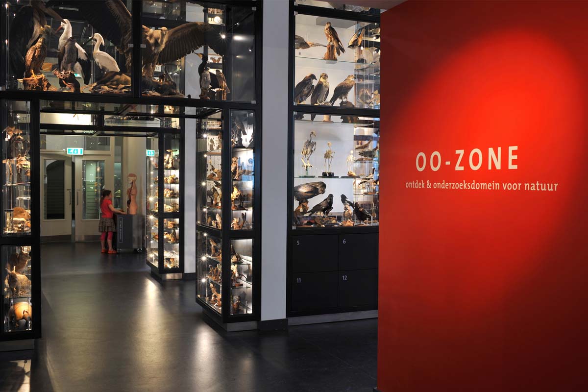 Entreeticket Natuurmuseum Brabant