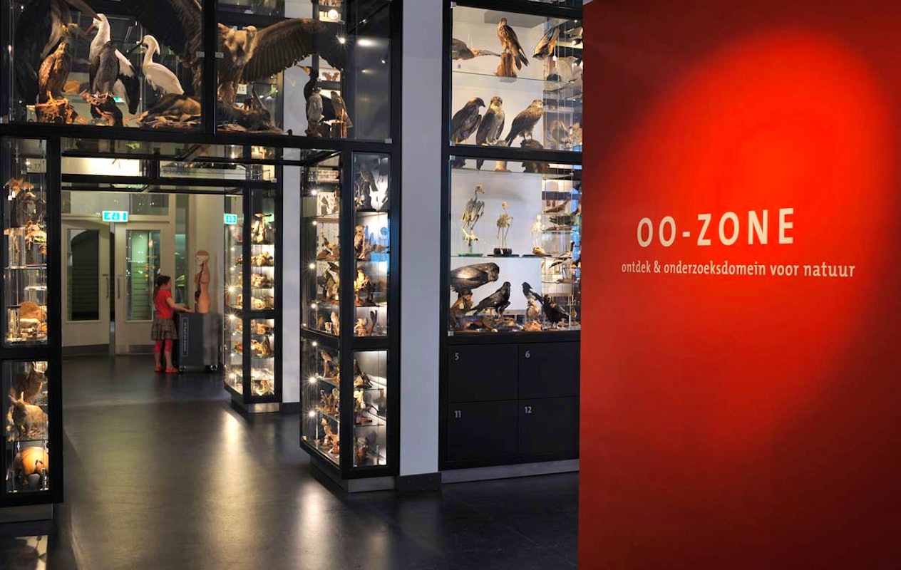 Entreeticket Natuurmuseum Brabant