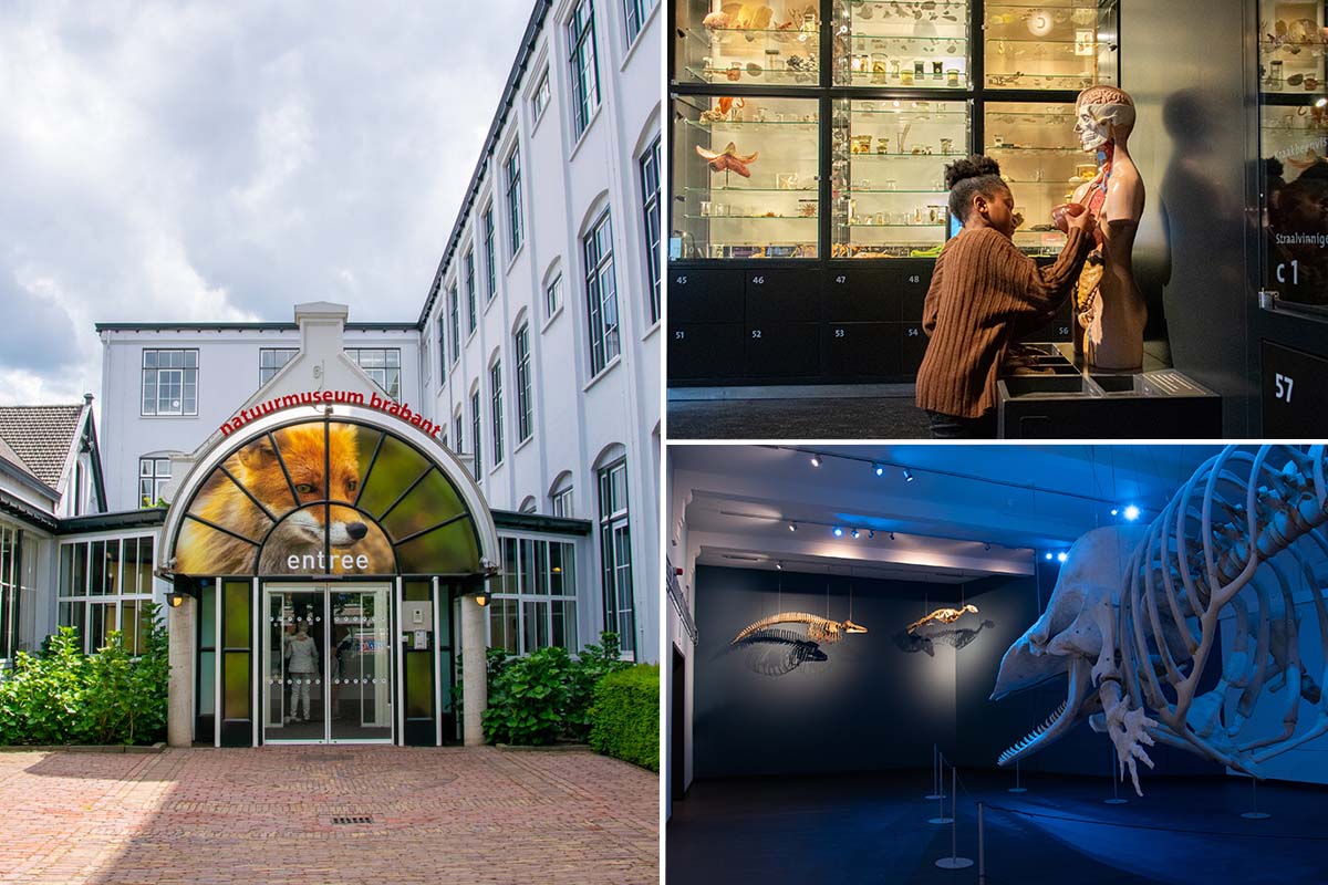 Entreeticket Natuurmuseum Brabant