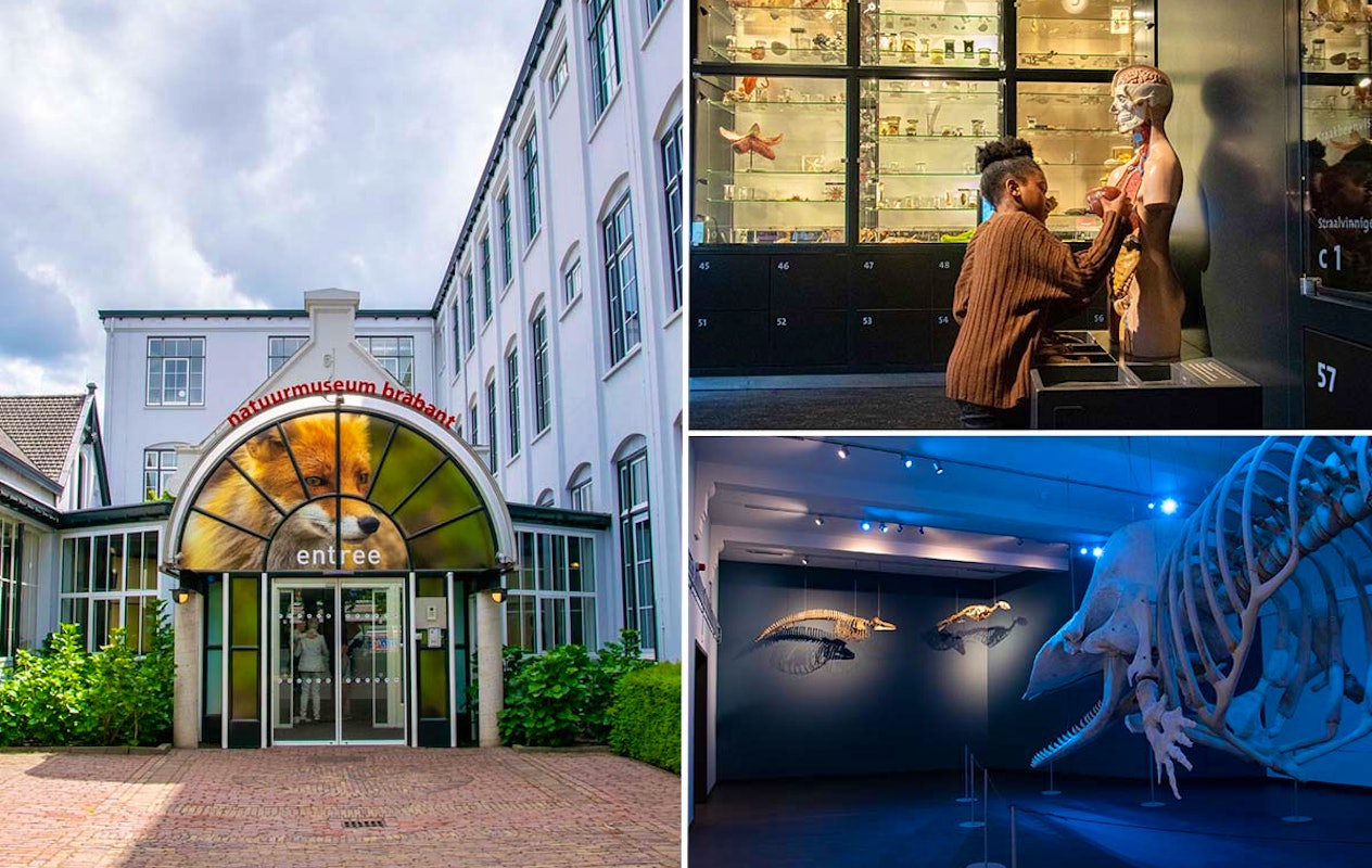 Entreeticket Natuurmuseum Brabant