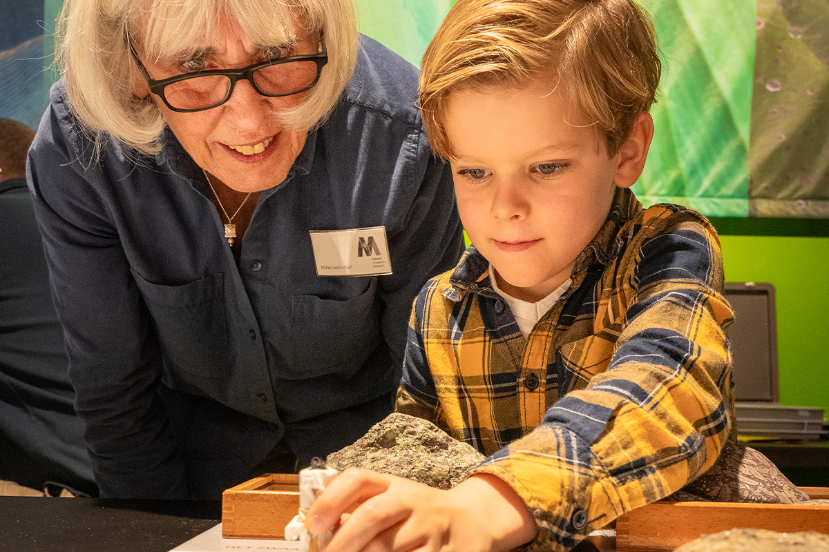 Billet d'entrée au Musée naturel du Brabant