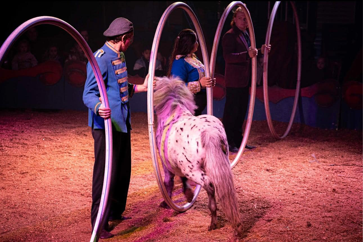 Entreeticket Paarden Circus Tetam