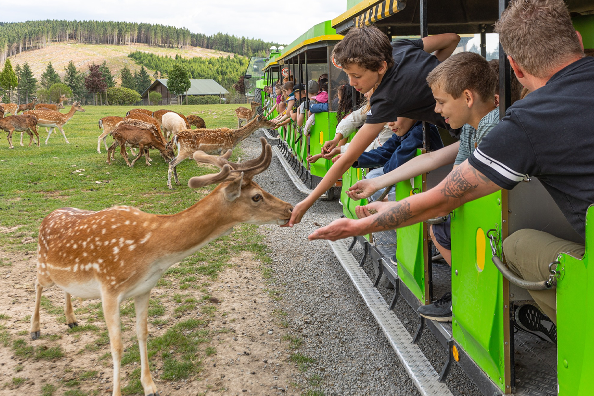 Entreeticket Panorama Park Sauerland