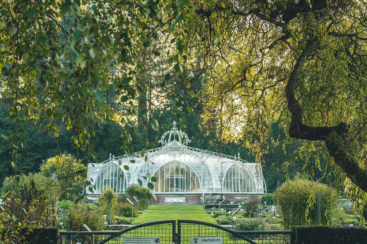 Entreeticket Plantentuin Meise