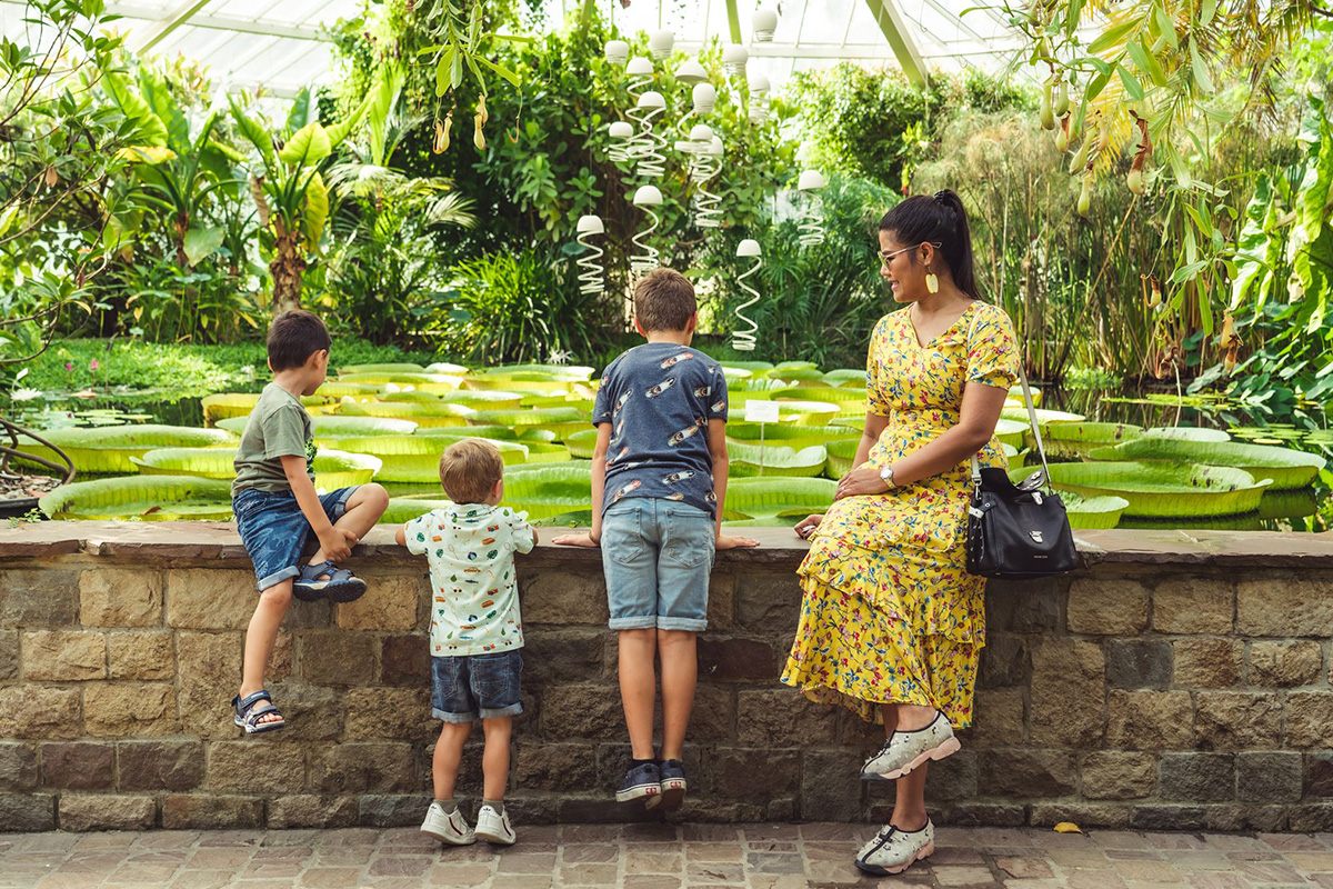 Entreeticket Plantentuin Meise