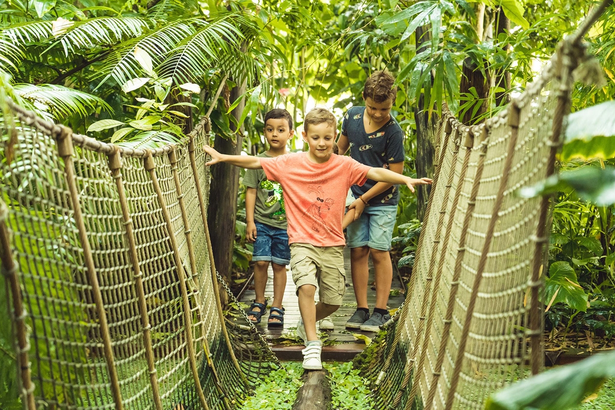 Entreeticket Plantentuin Meise