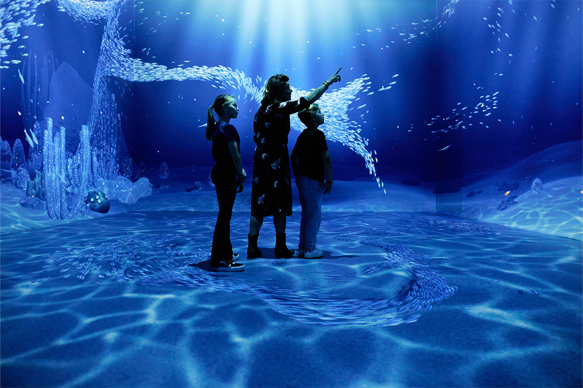 Entreeticket REMASTERED in Rotterdam