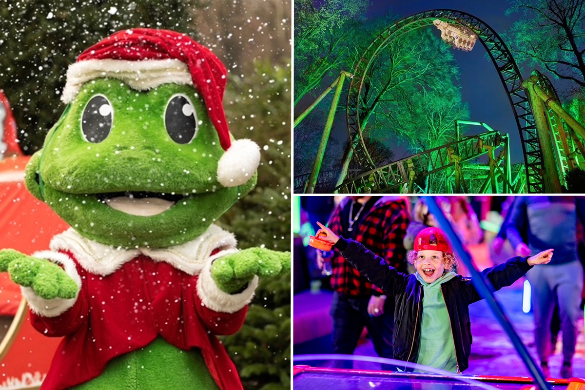 Entreeticket Rides By Lights op Attractiepark Duinrell