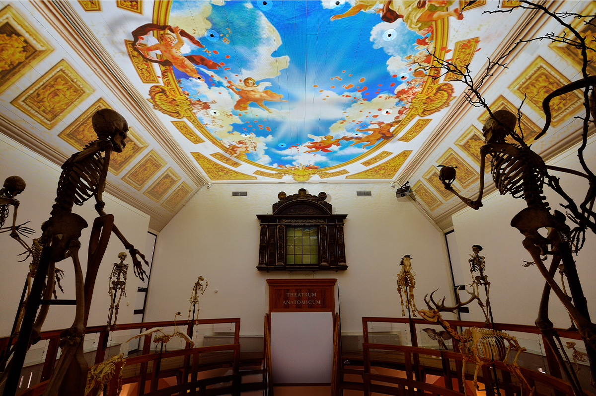 Entreeticket Rijksmuseum Boerhaave