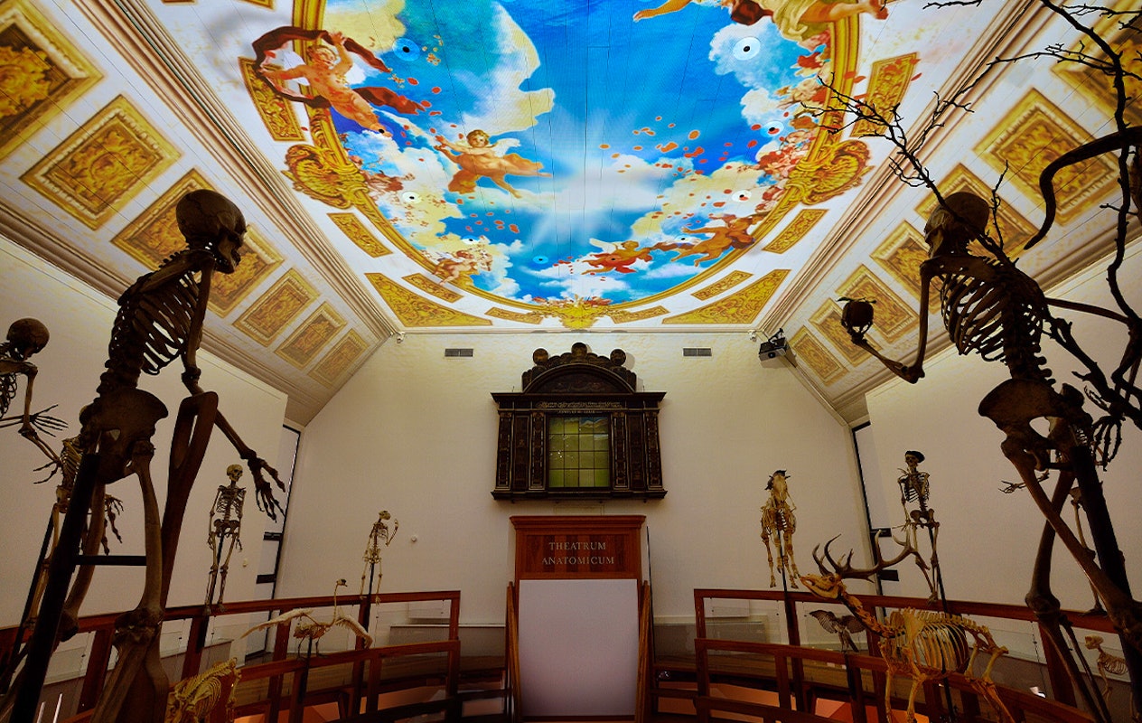 Entreeticket Rijksmuseum Boerhaave