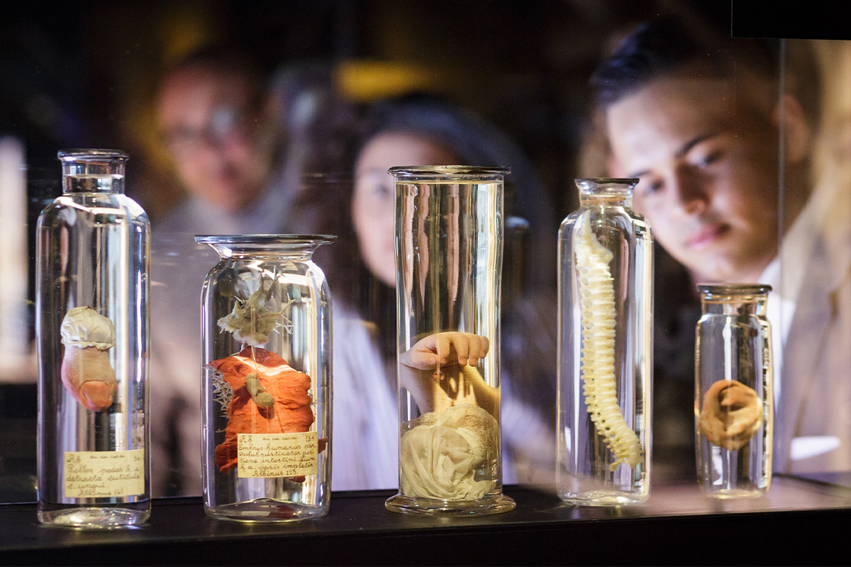 Entreeticket Rijksmuseum Boerhaave