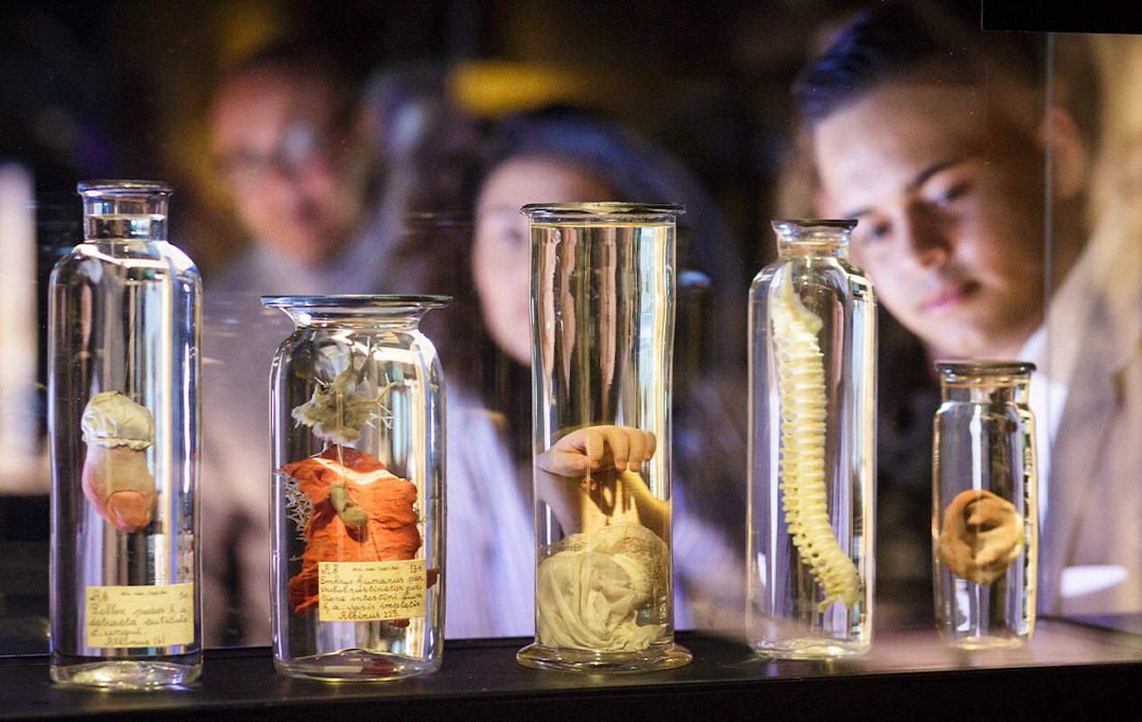 Entreeticket Rijksmuseum Boerhaave