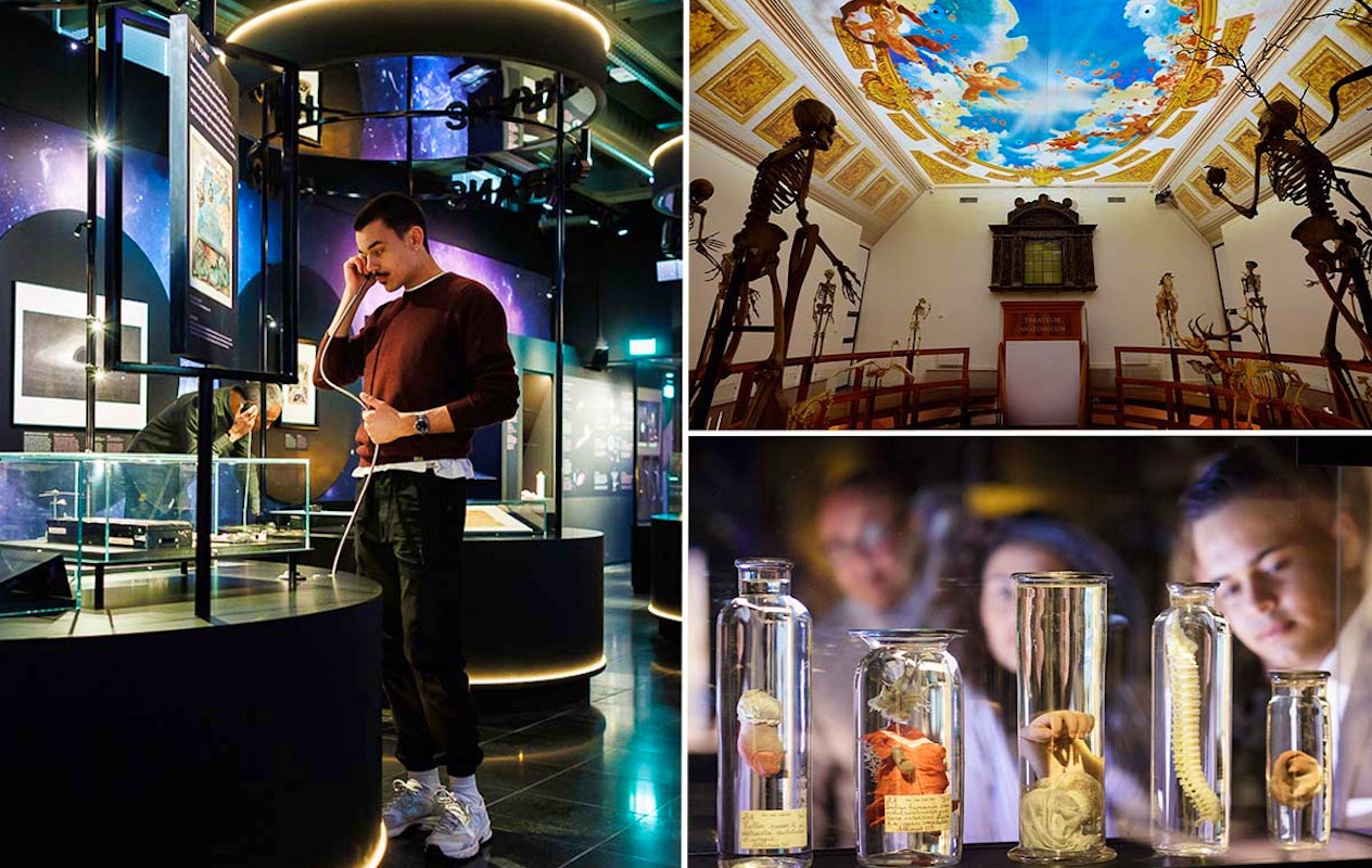 Entreeticket Rijksmuseum Boerhaave